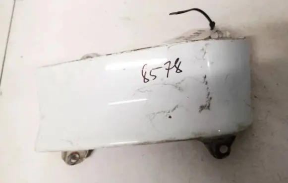 Rear/tail light trim molding