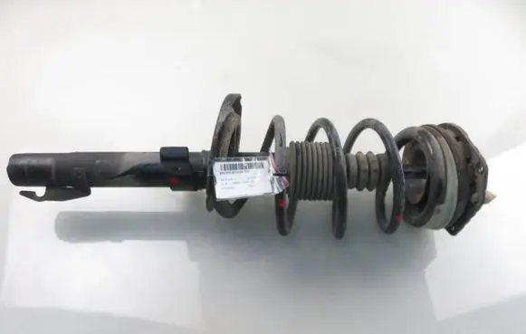 Renault Scenic II - Grand scenic II Front shock absorber with coil spring G7396