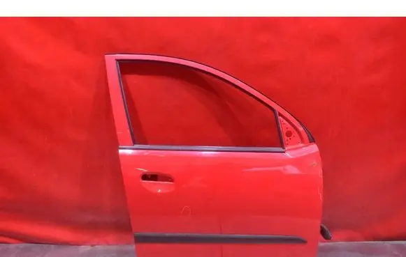 Hyundai i10 Front door