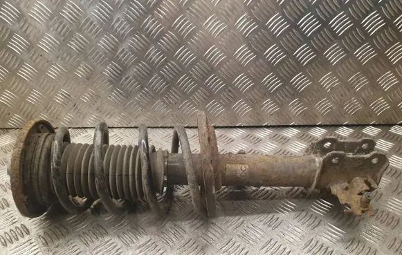 Opel Signum Front shock absorber with coil spring 13118705
