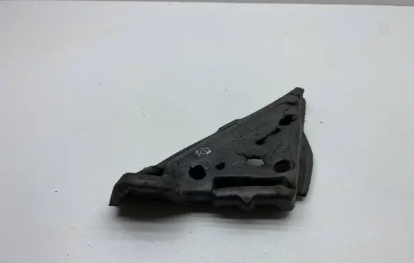 Dodge Charger Other front door trim element