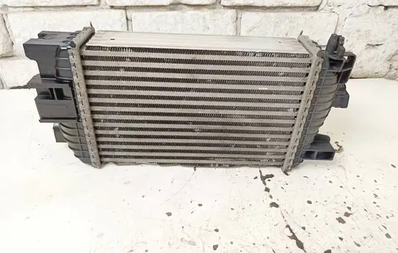 Opel Meriva B Intercooler radiator 13337687 560961104 W6830001