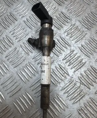Nissan Qashqai Fuel injector H8200294788
