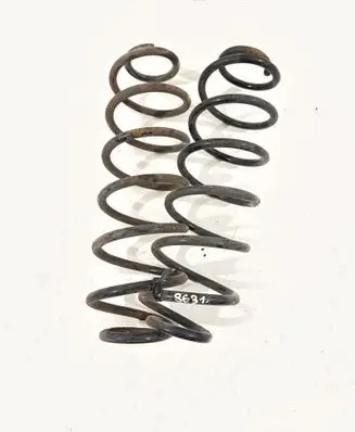 Rear coil spring