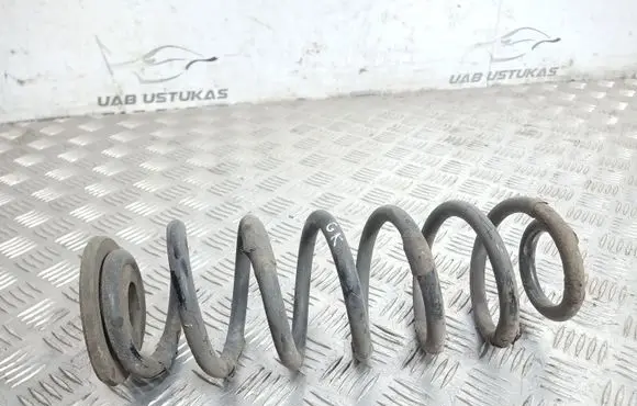 Volkswagen PASSAT B7 Rear coil spring