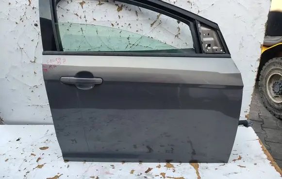 Ford Focus Front door 