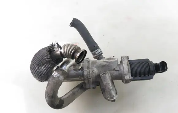 Suzuki Swift I EGR valve 55197846 53446103