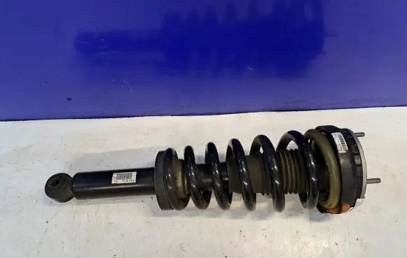 Jaguar F-Type Rear shock absorber/damper EX5380AD