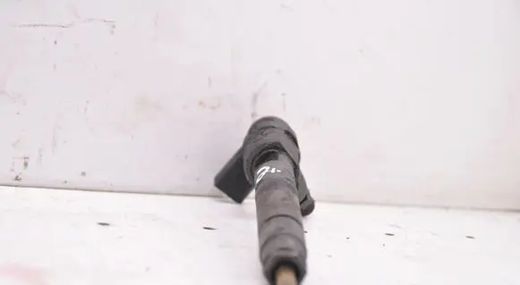 Mercedes-Benz Vito Viano W639 Fuel injector A6110701387