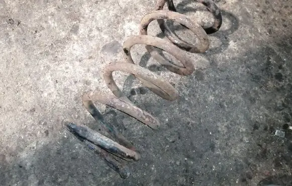 Rear coil spring