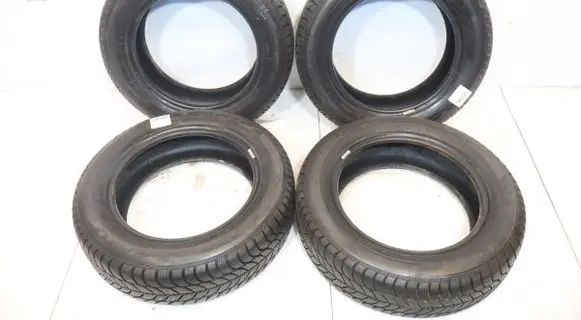 Fiat Grande Punto R15 winter tire 5452000593818
