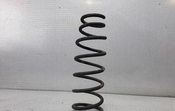 Front coil spring