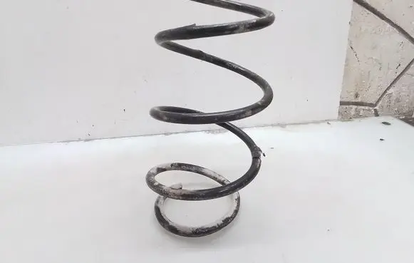 Front coil spring