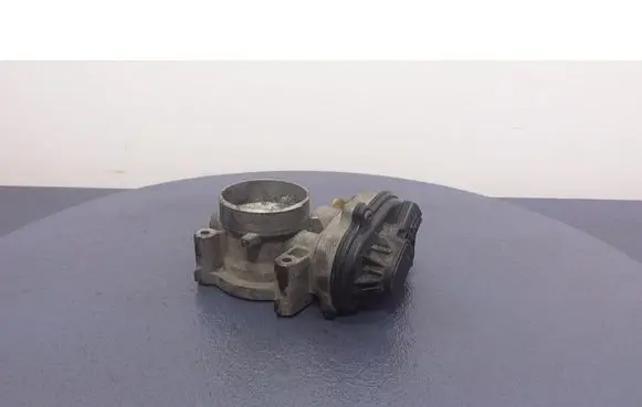 Throttle body valve
