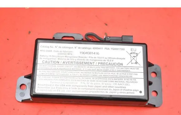 Opel Ampera Engine control unit/module ECU 42454411