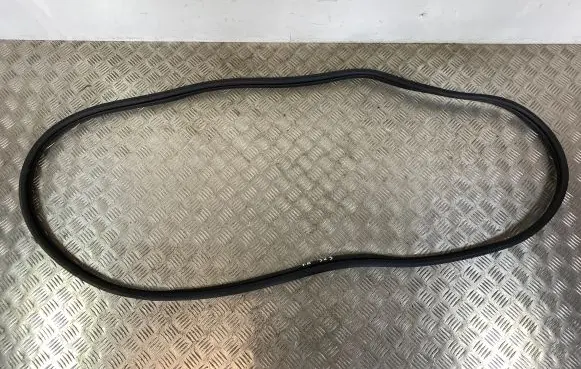KIA Sportage Front door rubber seal