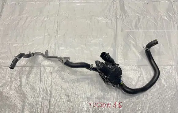 Thermostat/thermostat housing