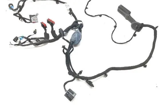 Front door wiring loom