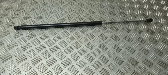Citroen Berlingo Tailgate/trunk strut/damper 9625574380 F3670N