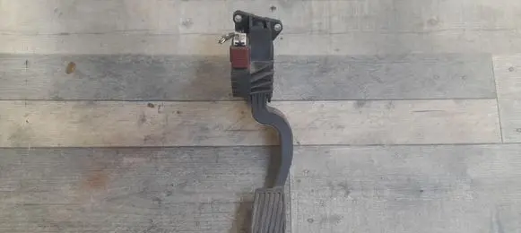 Fiat Grande Punto Pedal assembly 55702020