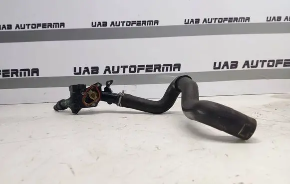Thermostat/thermostat housing