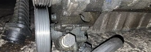 Volkswagen Bora Power steering pump 038145255