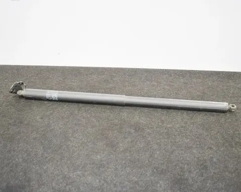 Tesla Model X Tailgate/trunk strut/damper 112969800A 104661000A