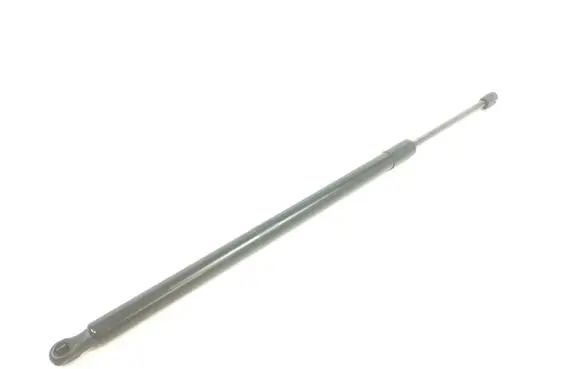 Tailgate strut