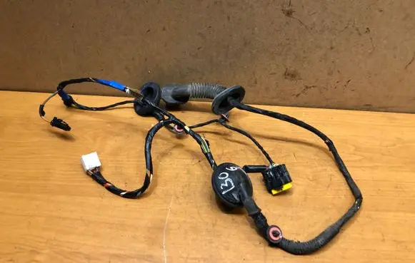 Hyundai i30 Rear door wiring loom 916602L040