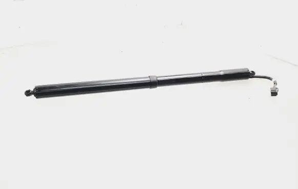 Tailgate/trunk strut/damper