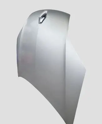 Renault Laguna III Engine bonnet/hood