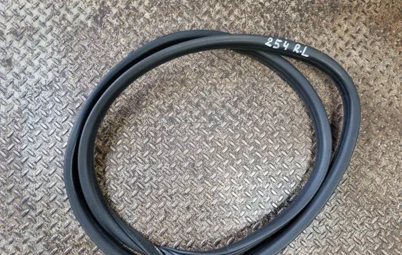 Citroen DS5 Rear door rubber seal (on body) 