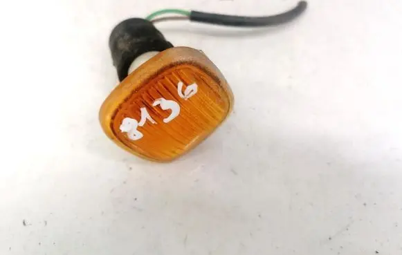 Front fender indicator light