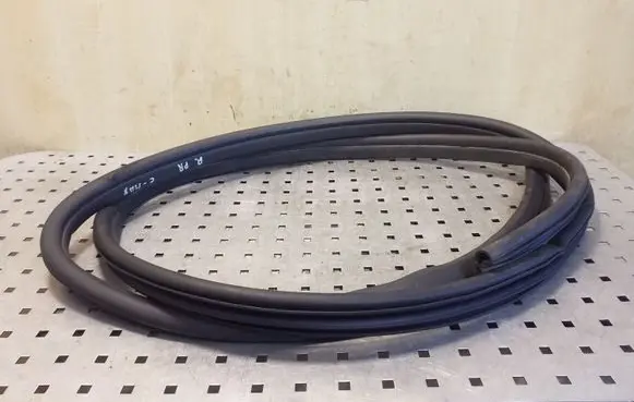 Ford Focus C-MAX Front door rubber seal