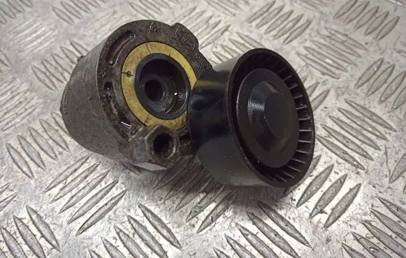 Renault Megane II Alternator belt tensioner pulley 