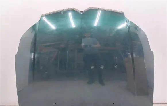 Engine bonnet/hood