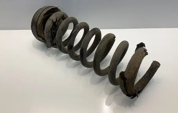 Rear coil spring