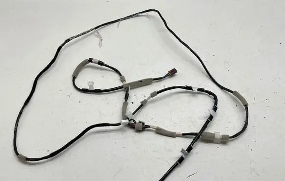 Other wiring loom