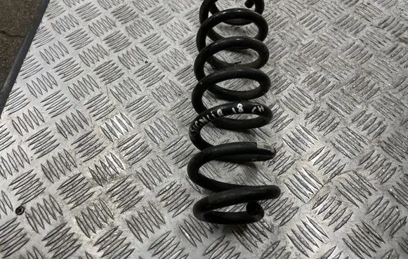Opel Insignia B Rear coil spring