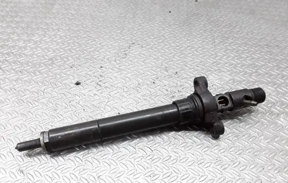 Citroen C5 Fuel injector EJBR03801D 9656389980