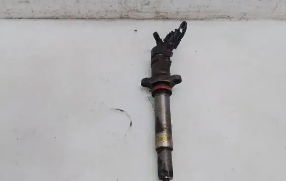 Ford Fiesta Fuel injector 0445110239