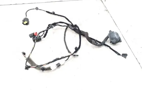 Front door wiring loom