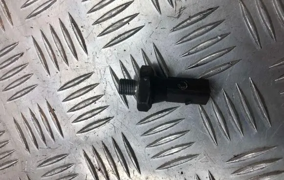 Nissan Pathfinder R51 Oil pressure sensor 038919081H