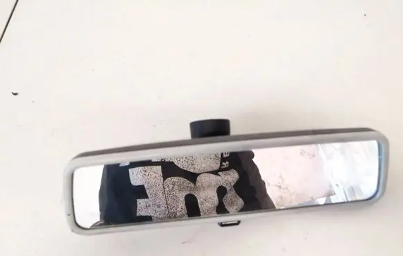 Volkswagen Golf V Rear view mirror (interior) e9014022