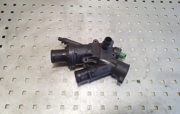 Thermostat/thermostat housing
