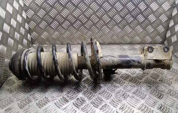 Opel Zafira B Front shock absorber with coil spring 22214012 24466546