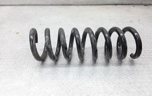 Rear coil spring