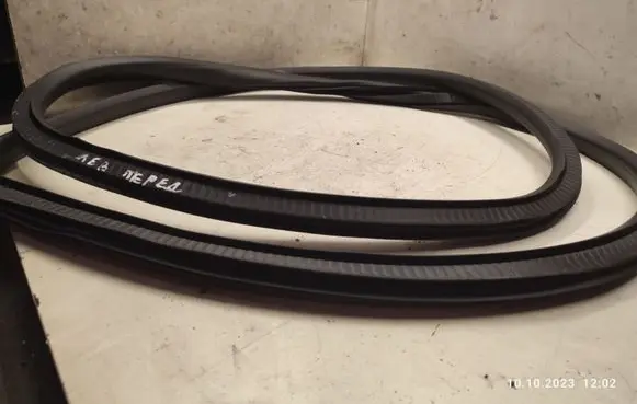 Opel Insignia A Front door rubber seal