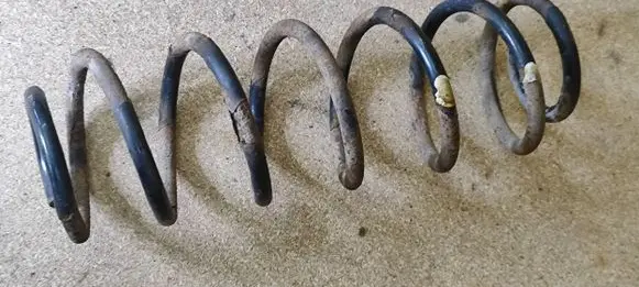 Honda Civic Rear coil spring