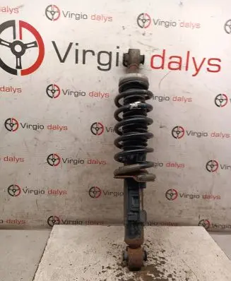 Peugeot 407 Rear shock absorber with coil spring 
